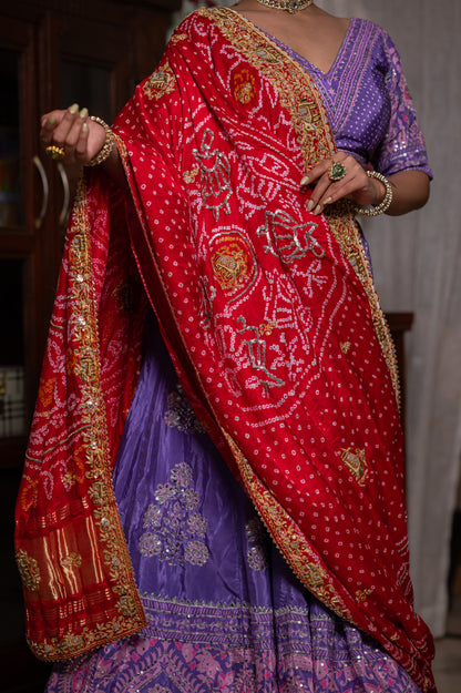Red Gajji Silk Bandhej Chunari with Zardozi Thread Elephant Motifs Sequins Work